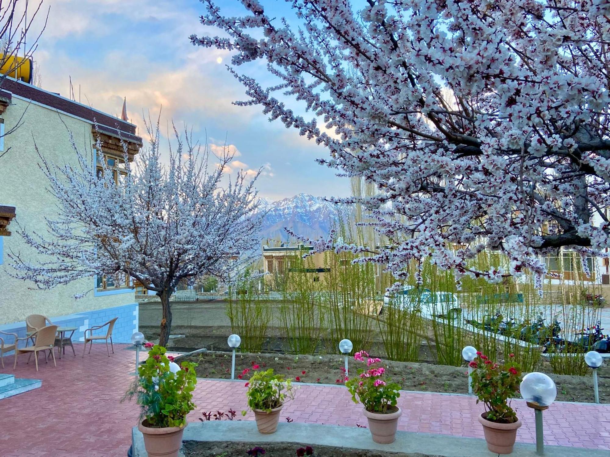 Hotel Palam Hills Leh Exterior foto